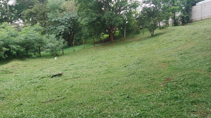 VENTA DE LOTE, ALAJUELA, OROTINA, COYOLAR en Coyolar, Orotina, Alajuela — $55,000