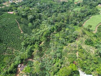 Finca en Venta Cajón, Pérez Zeledón, San José