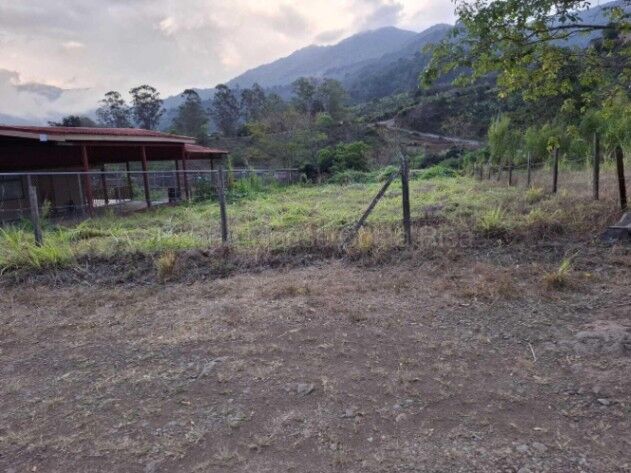 Hermoso lote plano ideal para construir o invertir rodeado de naturaleza y clima fresco #26-1700 GS en Santa María, Dota, San José — $75,000