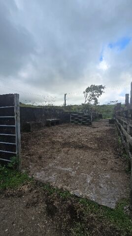 FINCA DE 350 HECTAREAS CON VISTA AL VOLCAN A 1HORA DE LA FORTUNA en La Fortuna, San Carlos, Alajuela — ₡ 1 400 000 000