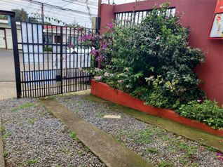 Locales comerciales ya alquilados para venta **1999 in Guadalupe, Goicoechea, San José — 90 000 000 ₡ - Photo 4 of 22