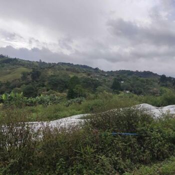 Venta de Lote en Coto Brus de Puntarenas. RAH 26-125 en Aguabuena, Coto Brus, Puntarenas — $150,000 - Foto 5 de 16