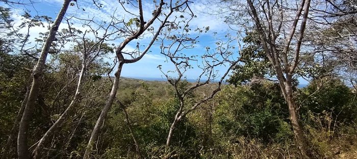 2,4 Hecs lot with ocean views, 10 min to Playa Marbella en Cuajiniquil, Santa Cruz, Guanacaste — $399,000