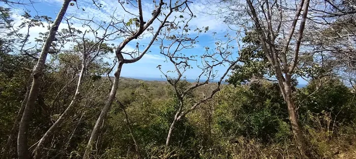 2,4 Hecs lot with ocean views, 10 min to Playa Marbella in Cuajiniquil, Santa Cruz, Guanacaste — $399,000