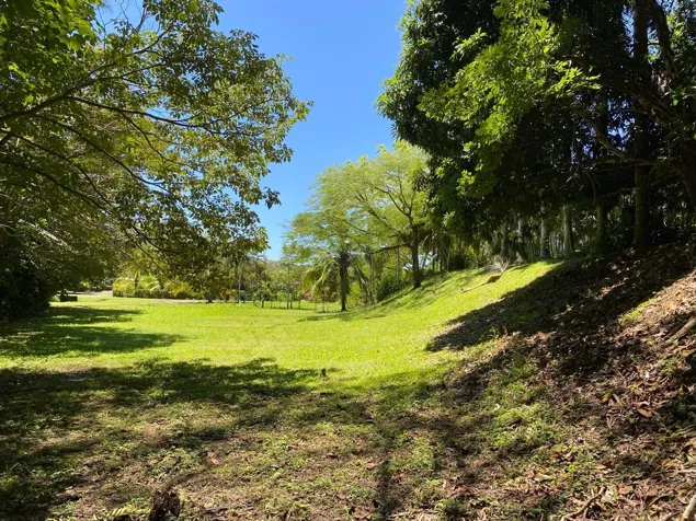 Venta Terreno Rodeado de Naturaleza en Esterillos, min de Playa (MV) en Parrita, Puntarenas — $120,000
