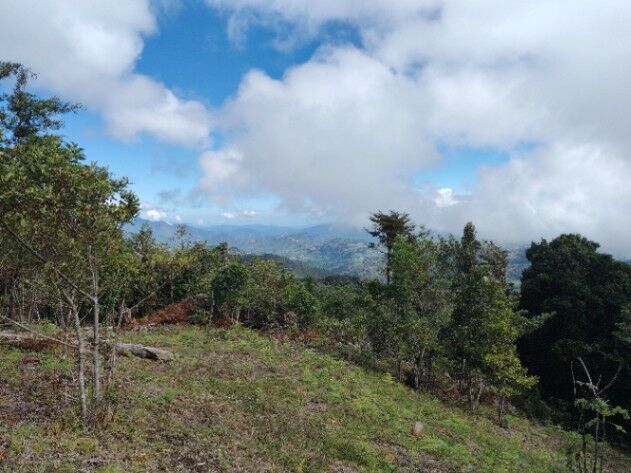 Lote El Cedral León Cortés in Santa Cruz, León Cortés Castro, San José — ₡ 64 000 000