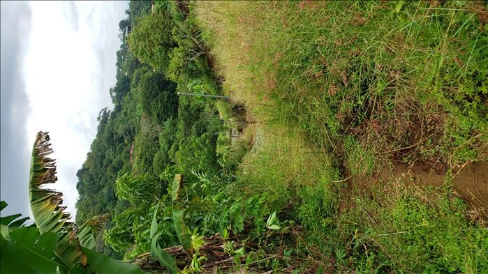 Terreno con vista del valle  en Naranjo, Alajuela — ₡ 30 000 000