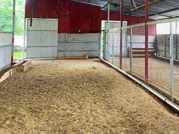 MLS-26-212 LS VENTA FINCA DOTA COPEY en Copey, Dota, San José — ₡ 182 000 000