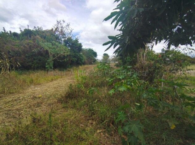 Venta de Lote de 1455mts en Desamparados de Alajuela 26-1771 en Desamparados, Alajuela — ₡ 150 000 000