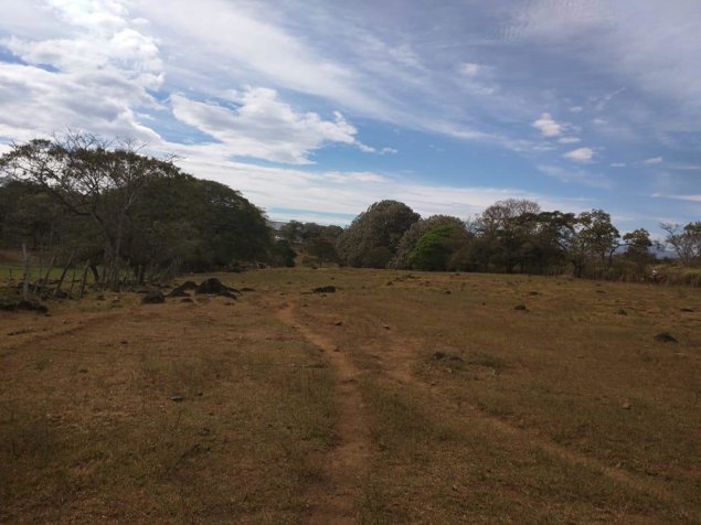 FINCA DE 8.15 HA  ZONA EL COYOL - LA GARITA ALAJUELA in Garita, Alajuela — $4,075,000