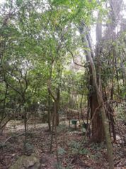 Lote en Santa Ana para Desarrollador en Pozos, Santa Ana, San José — $1,614,080 - Foto 4 de 10