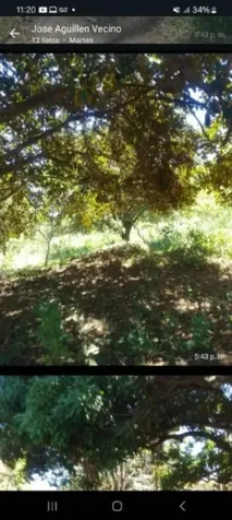 ¡Terreno para desarrollo en venta! La Garita, Alajuela en Garita, Alajuela — $2,301,094 - Foto 3 de 10