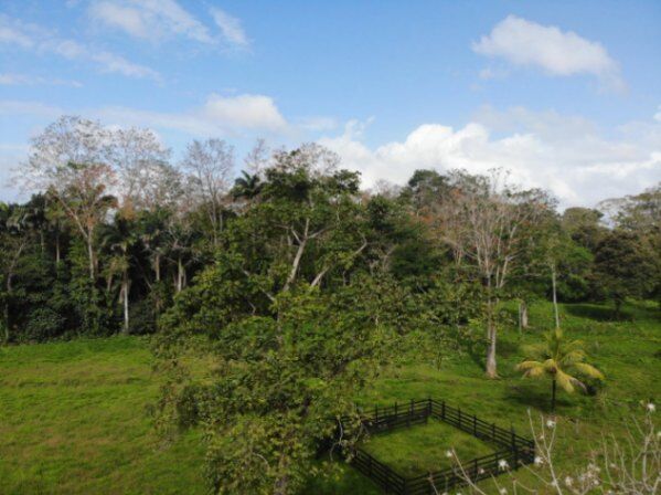 Venta de Terreno de casi 30 Hectáreas con ubicación estratégica  OFC/AD en Matama, Limón — $2,000,000