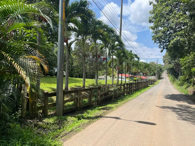 8,710 m² lot with residential and commercial land use in Mercedes, Atenas, Alajuela in Atenas, Alajuela — ₡ 145 000 000 - Photo 3 of 14
