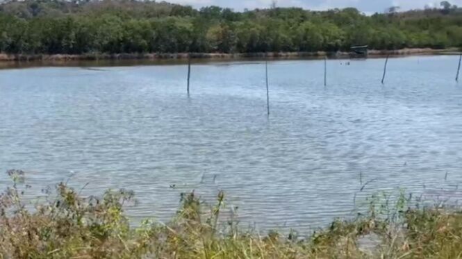 SE VENDE BELLA PROPIEDAD CON CAMARONERA INCLUIDA.  en Colorado, Abangares, Guanacaste — ₡ 70 000 000
