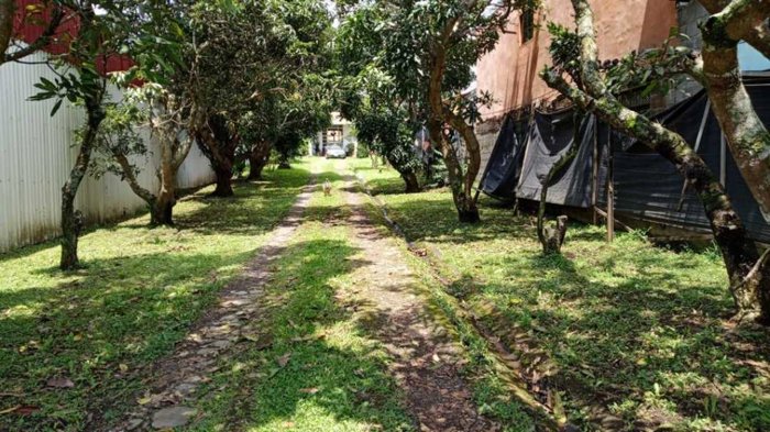 Oportunidad Propiedad comercial Industrial San Pablo de Heredia en San Pablo, Heredia — ₡ 160 000 000 - Foto 3 de 37