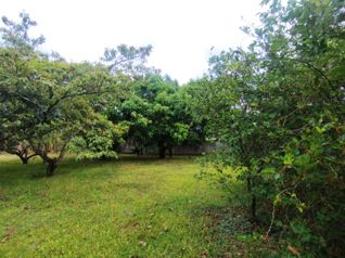 Se Vende (Venta) Propiedad San Isidro de Grecia, Cod GU 1485 in San Isidro, Grecia, Alajuela — 180 000 000 ₡ - Photo 5 of 32
