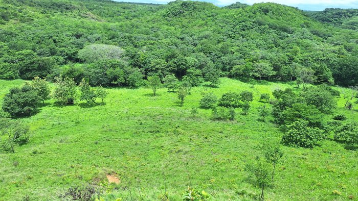 Finca En Venta, La Cruz, Guanacaste in La Cruz, Guanacaste — $583,013 - Photo 2 of 11