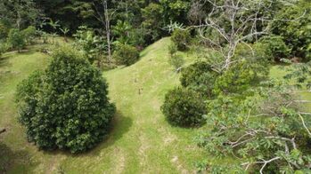 1+ hectare con servicios en Tinamaste, Perez Zeledon en Barú, Pérez Zeledón, San José — $159,999 - Foto 4 de 9