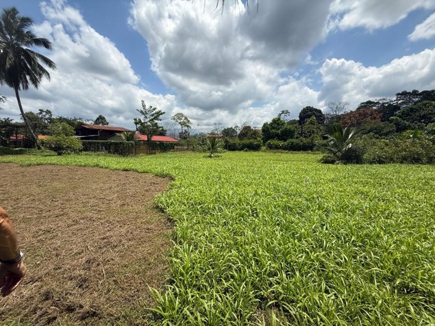 Venta de terreno en San Ramón de Alajuela en San Lorenzo, San Ramón, Alajuela — ₡ 35 000 000