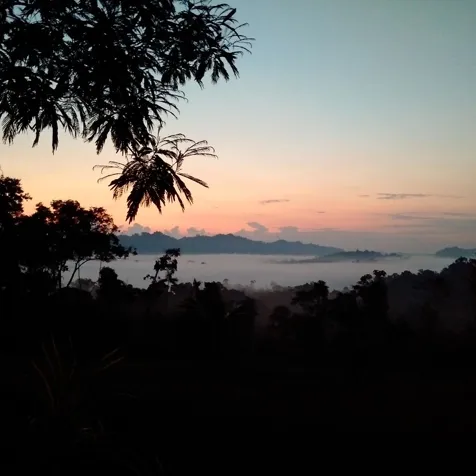 Exuberante propiedad para desarrollo en Cahuita en Cahuita, Talamanca, Limón — $2,000,000 - Foto 3 de 16