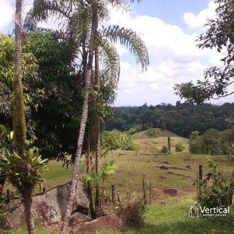 Finca en Venta en Sarapiquí, Río Frío en Sarapiquí, Alajuela — $1,455,000 - Foto 3 de 3