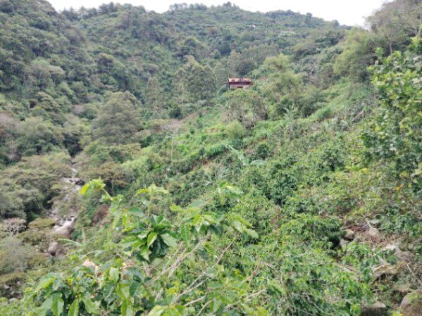 Quinta en Dota en Santa María, Dota, San José — ₡ 75 000 000