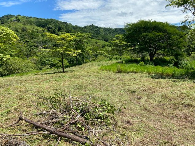 A 12 minutos de Playa Samara, Hermoso Terreno!!!! in Belén de Nosarita, Nicoya, Guanacaste — ₡ 168 000 000 - Photo 3 of 19