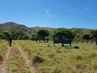 Venta de Finca en Turrubares en San Pedro, Turrubares, San José — $600,000 - Foto 4 de 5