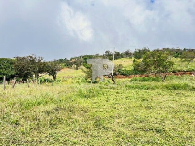 VENTA DE LOTE EN SAN RAMÓN ALAJUELA QUINTAS REAL BELLA VISTA SCG42 en Piedades Sur, San Ramón, Alajuela — ₡ 28 000 000