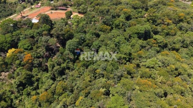 LOTE DE 1 HECTÁREA CON BOSQUE PRIVADO EN LAS MERCEDES DE CAJÓN, PÉREZ ZELEDÓN en Cajón, Pérez Zeledón, San José — $70,000