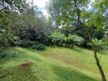 Se vende moderna propiedad de 5000m2 en San Antonio de Belén 26-673 en San Antonio, Belén, Heredia — $860,000 - Foto 5 de 22