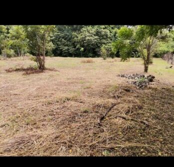 MLS-25-1061 KQ VENTA LOTE CARRILLO GUANACASTE  in Belén, Carrillo, Guanacaste — 50 000 000 ₡ - Photo 4 of 7
