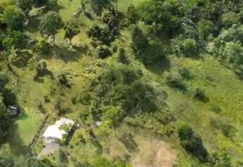 Venta Finca en Bellavista de Guapiles in Guápiles, Pococí, Limón — 200 000 000 ₡ - Photo 4 of 11