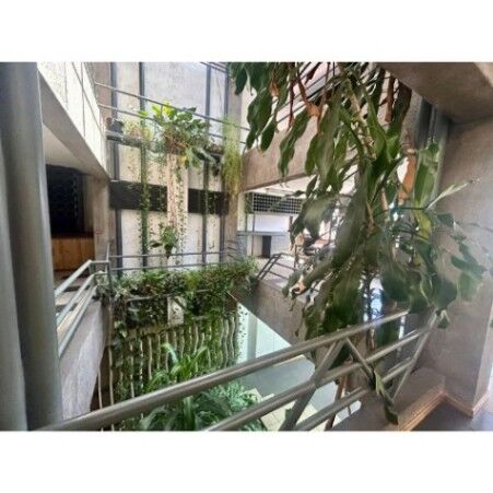 ALQUILER DE EDIFICIO GREEN, SAN JOSE, PASEO COLÓN   en Carmen, San José — $3,500