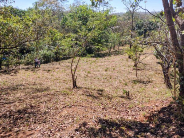 Venta de Hermosa Propiedad in La Ceiba, Orotina, Alajuela — ₡ 35 000 000