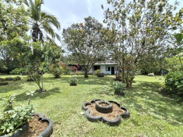 Beautiful property with house in Limoncito, Coto Brus, Puntarenas — ₡ 30 000 000
