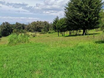 Venta de Lote en San José-Montana, Heredia. RAH 23-326 en San José de La Montaña, Barva, Heredia — 130 000 000 ₡ - Foto 5 de 10