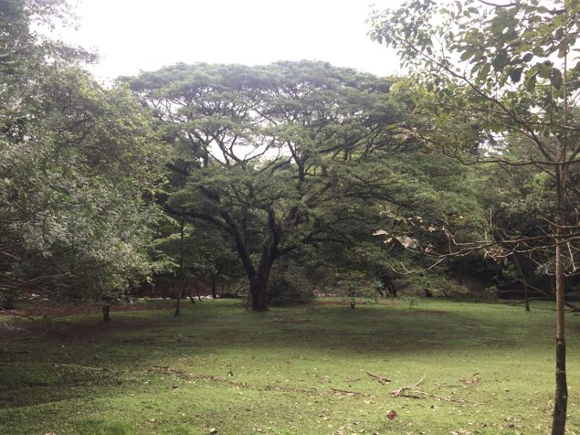 SE VENDE TERRENO EN OROTINA ACSESO A RÍO MACHUCA in Orotina, Alajuela — $580,000