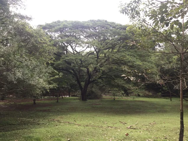 SE VENDE TERRENO EN OROTINA ACSESO A RÍO MACHUCA in Orotina, Alajuela — $580,000