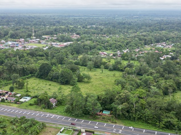 Venta de Finca de 10 hectáreas planas de uso mixto en Guácimo, Limón en Jiménez, Pococí, Limón — ₡ 500 000 000 - Foto 3 de 11