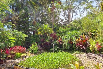 Propiedad con 2 habitaciones y casa de invitados en Atenas in Santa Eulalia, Atenas, Alajuela — $648,000 - Photo 5 of 21