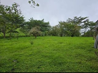 Propiedad en venta en Zarcero en Zapote, Zarcero, Alajuela — 90 000 000 ₡ - Foto 4 de 10