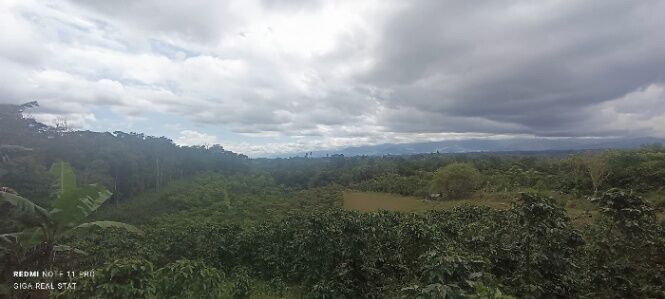 SE VENDE BELLA Y ÚTIL FINCA EN SAN RAMÓN DE SABALITO.  in Sabalito, Coto Brus, Puntarenas — $900,000