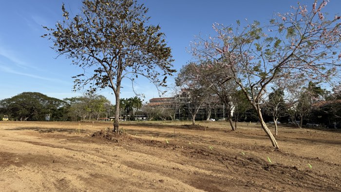 Lote de Lujo en Venta a Pasos del Mar en Playa Langosta, Tamarindo en Tamarindo, Santa Cruz, Guanacaste — $795,000 - Foto 3 de 8