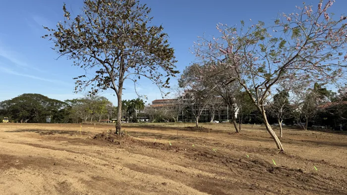Lote de Lujo en Venta a Pasos del Mar en Playa Langosta, Tamarindo en Tamarindo, Santa Cruz, Guanacaste — $795,000 - Foto 3 de 8