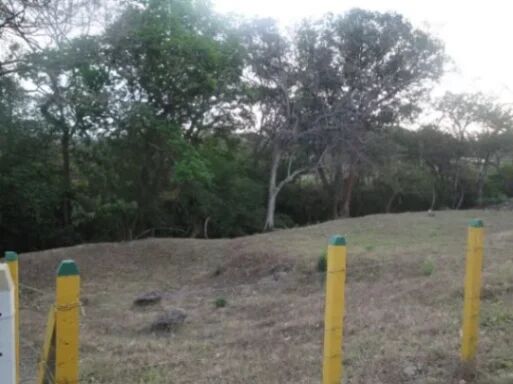 Terreno en venta para construir de 1350 mts, ubicado en Atenas Alajuela en Atenas, Alajuela — ₡ 55 000 000