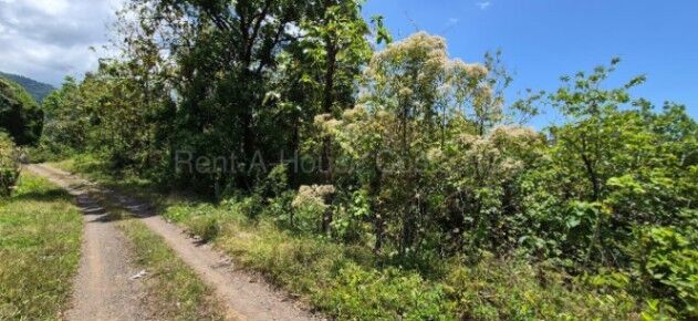 Venta de Lote en Parrita-Puntarenas.  en Parrita, Puntarenas — ₡ 150 000 000