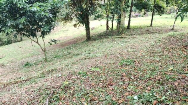 Hermosa finca  en La Tigra, San Carlos, Alajuela — ₡ 150 000 000