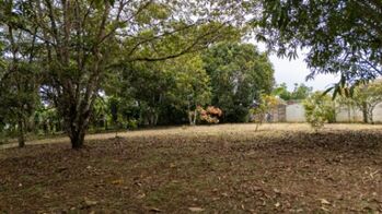 ESPACIOSO LOTE A LA VENTA EN LA LUCHA, PÉREZ ZELEDÓN en San Isidro De El General, Pérez Zeledón, San José — $360,583 - Foto 5 de 6